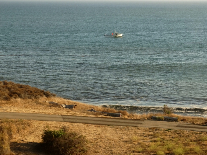 Pacific Coast