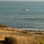Pacific Coast