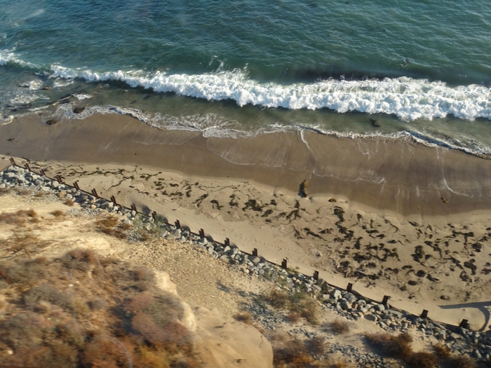 Pacific Coast