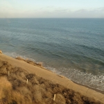 Pacific Coast