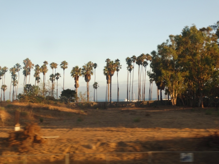 Pacific Coast