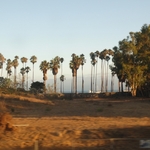 Pacific Coast