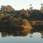 Pacific Coast