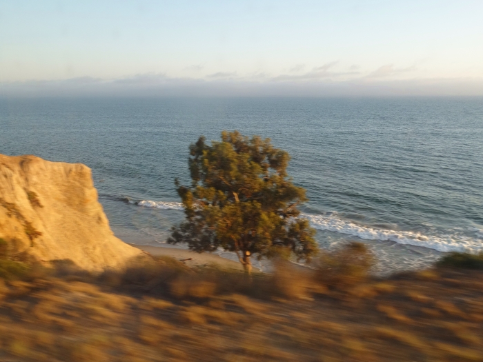 Pacific Coast