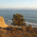 Pacific Coast