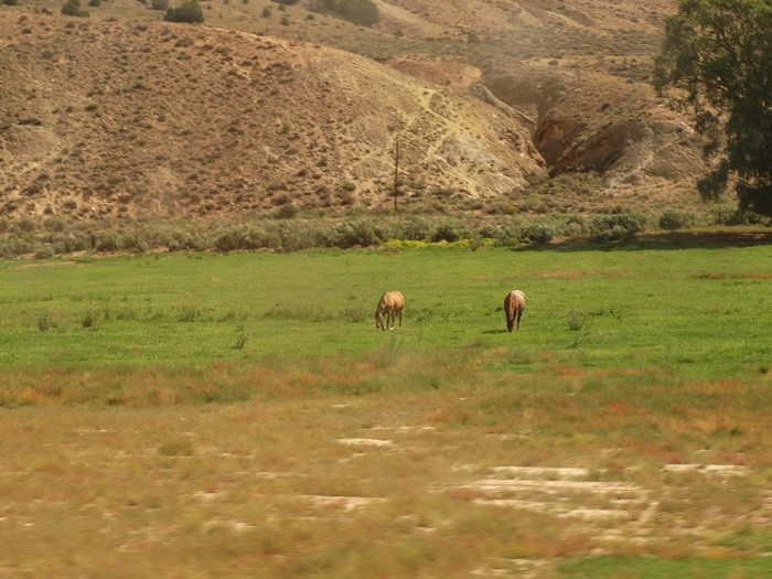 Colorado River Valley