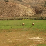 Colorado River Valley