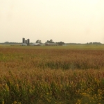 Illinois