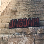 Jaguar!