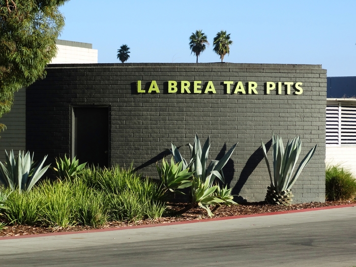 La Brea Tar Pits