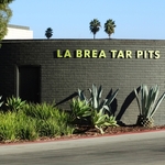 La Brea Tar Pits