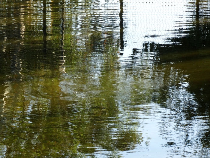 La Brea Tar Pits