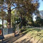 La Brea Tar Pits