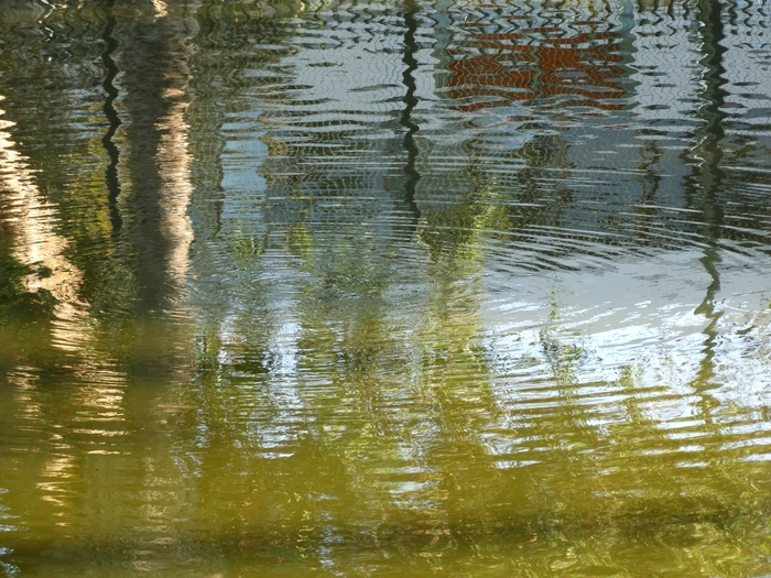 La Brea Tar Pits