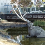 La Brea Tar Pits, Los Angeles, California - 9/15/2021