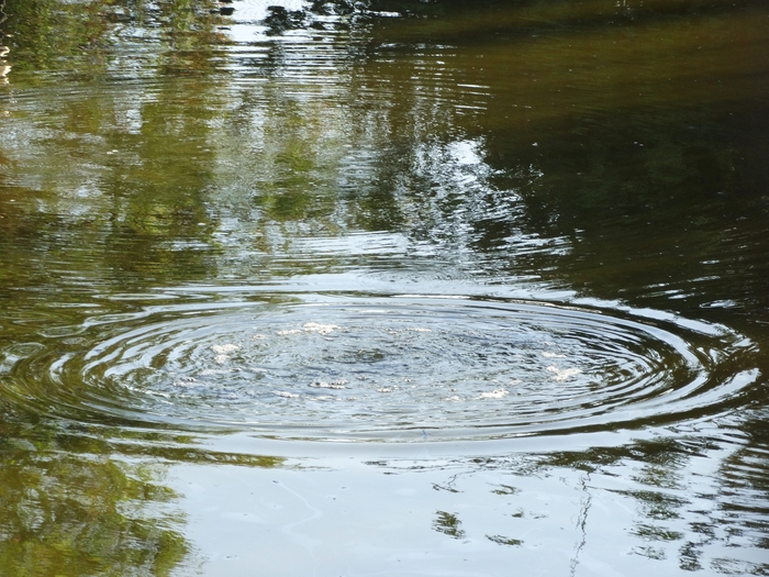 La Brea Tar Pits