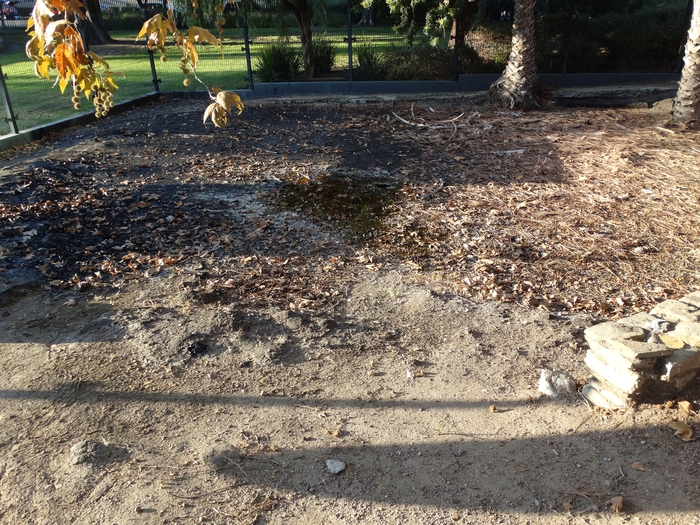 La Brea Tar Pits
