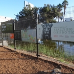 La Brea Tar Pits