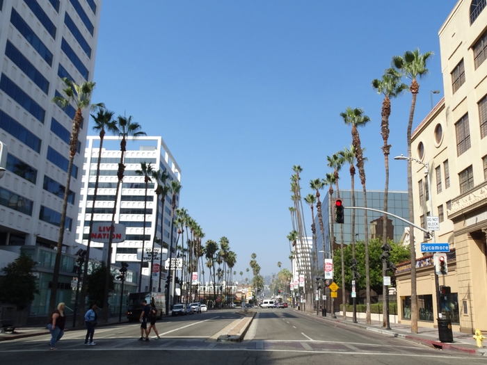 Hollywood Boulevard