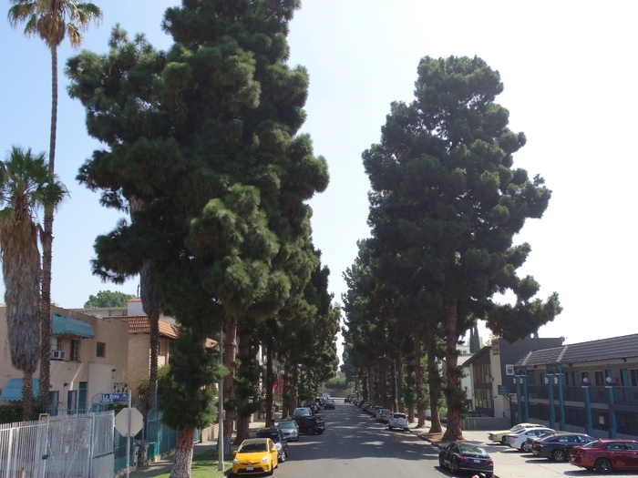 Los Angeles