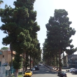 Los Angeles