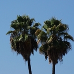 Los Angeles