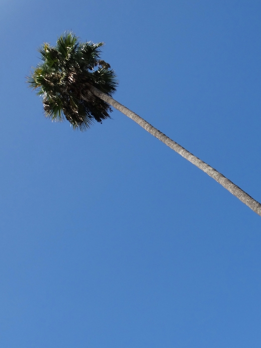 Los Angeles