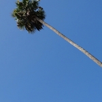 Los Angeles