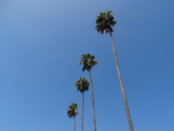 Los Angeles