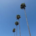 Los Angeles