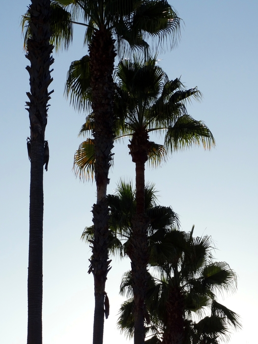 Los Angeles