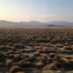 Nevada