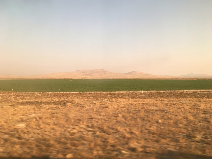 Nevada