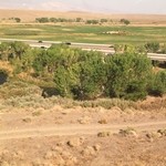 Nevada