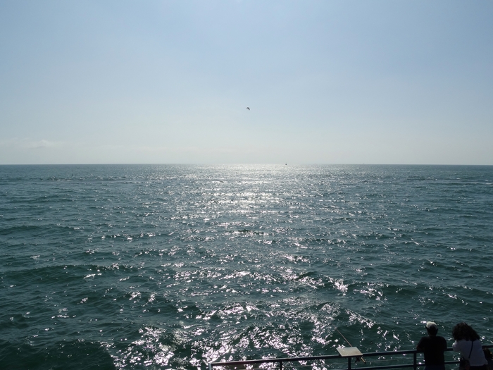 Santa Monica Pier