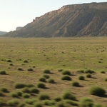 Utah