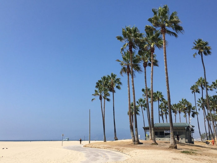 Venice Beach