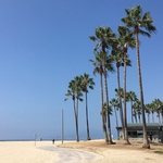 Venice Beach