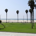 Venice Beach