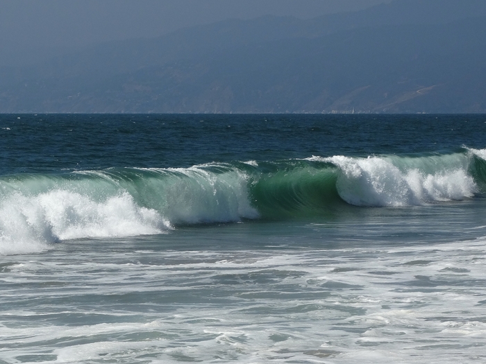 Venice Beach
