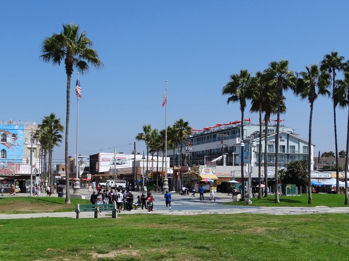 Venice Beach