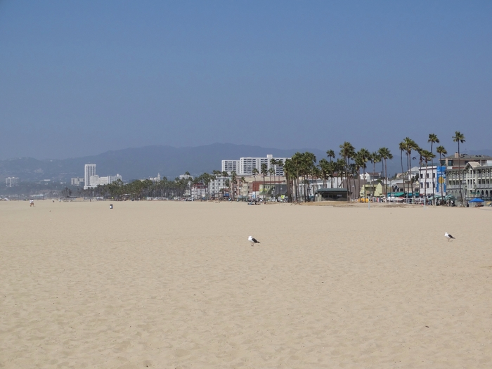 Venice Beach