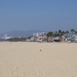 Venice Beach