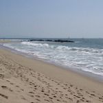 Venice Beach