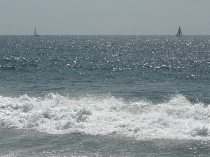 Venice Beach