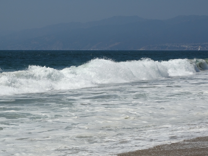 Venice Beach