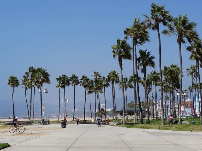 Venice Beach