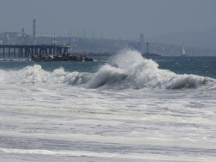 Venice Beach