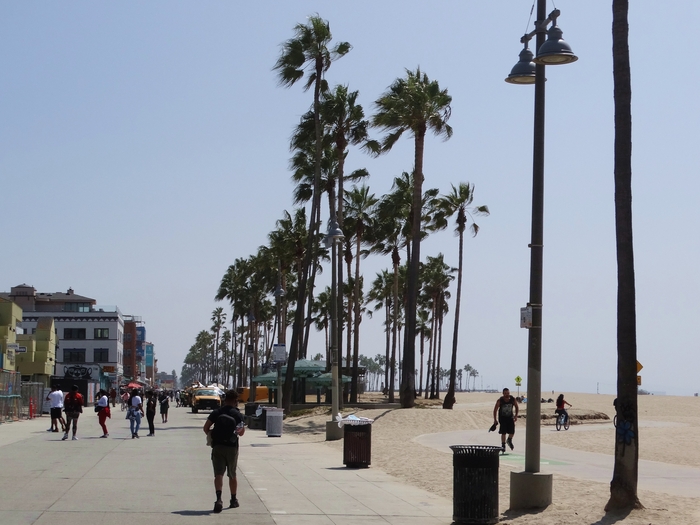 Venice Beach