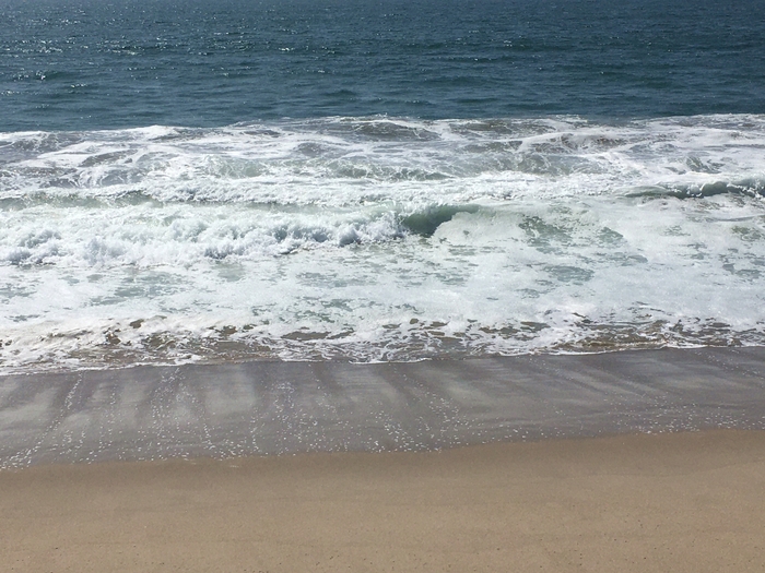 Venice Beach